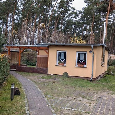 Spreewaldhaeuser Golinski Mit Kamin Am Neuendorfer See Alt Schadow Екстер'єр фото