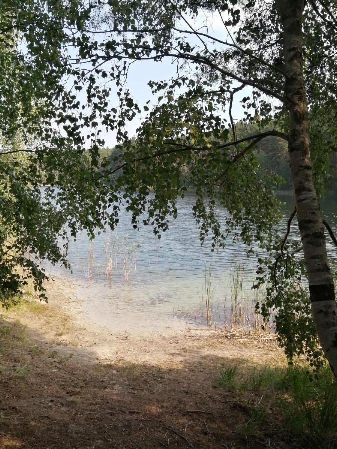 Spreewaldhaeuser Golinski Mit Kamin Am Neuendorfer See Alt Schadow Екстер'єр фото