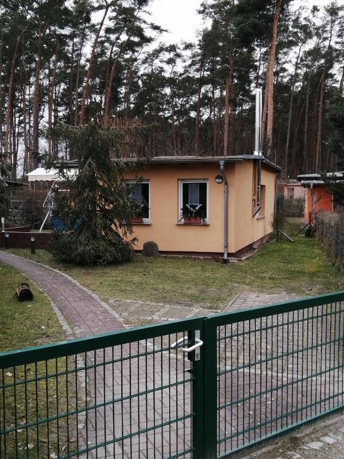 Spreewaldhaeuser Golinski Mit Kamin Am Neuendorfer See Alt Schadow Екстер'єр фото