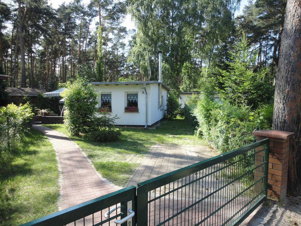 Spreewaldhaeuser Golinski Mit Kamin Am Neuendorfer See Alt Schadow Екстер'єр фото